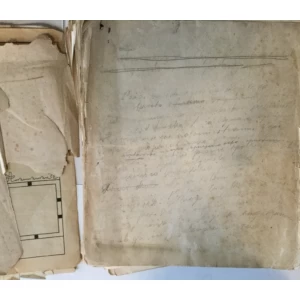 Josip Freudenreich: Originalni rukopis romana Aliagino dijete