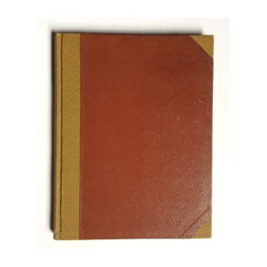 RADIVOJ PETERLIN PETRUŠKA, PO CESTI IN STEPI, 1912.