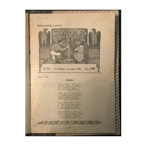 Sokolič, Godina VIII. brojevi 1-11