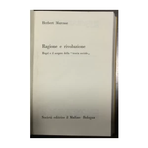 Herbert Marcuse: Ragione e rivoluzione, Hegel e il sorgere della teoria sociale
