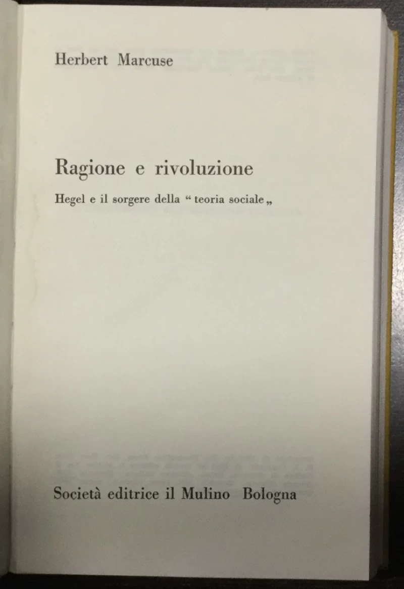 Herbert Marcuse: Ragione e rivoluzione, Hegel e il sorgere della teoria sociale
