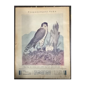 Koprive humorističko-satirički list 51/1929.