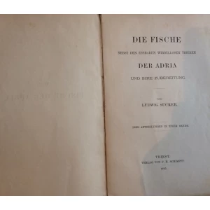 DIE FISCHE NEBST DEN ESSBAREN WIRBELLOSEN THIEREN DER ADRIA UND IHRE ZUBEREITUNG - LUDWIG SUCKER -1895.   NA NJEMAČKOM JEZIKU 