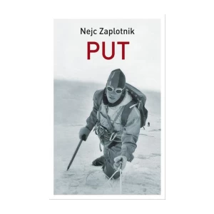 Nejc Zaplotnik: Put