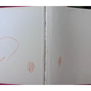 Disney Predivan svijet znanja 21 Ptice