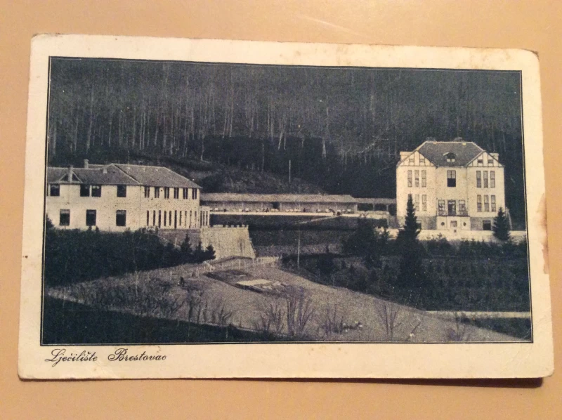 ZAGREB STARA RAZGLEDNICA LJEČILIŠTE BRESTOVAC PRIJE 1918.