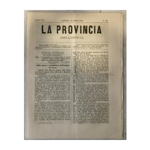 La provincia dell' Istria 20/1882.