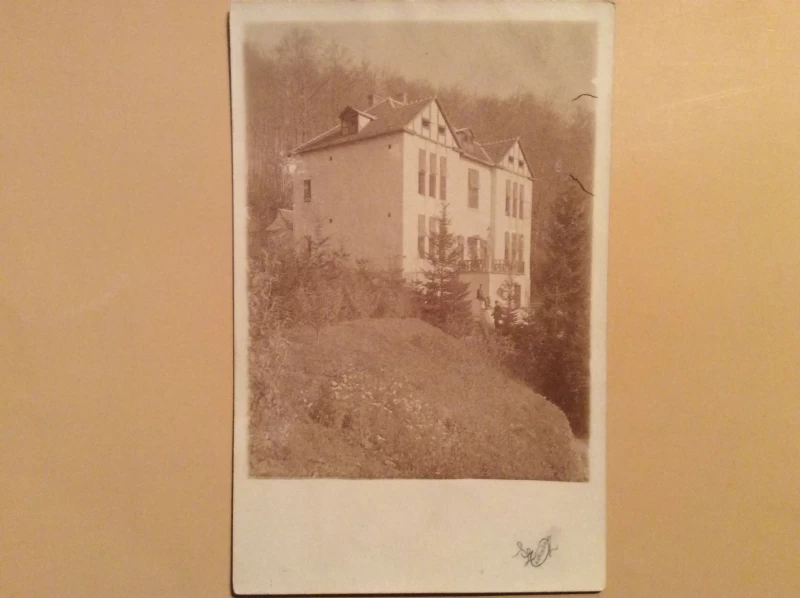 ZAGREB STARA RAZGLEDNICA LJEČILIŠTE BRESTOVAC NA SLJEMENU 1924.    R0176