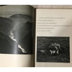 The Family of Man - The greatest photographic exibition of all time created by Edward Steichen for the Museum of Modern Art