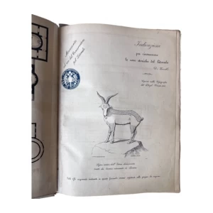 Pietro Kandler: Indicazioni per riconoscere le cose storiche del Litorale