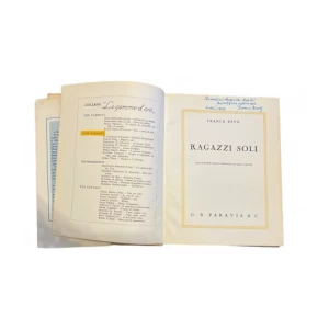 France Bevk: Ragazzi soli