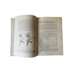 Guido Depoli: La provincia del Carnaro – saggio geografico