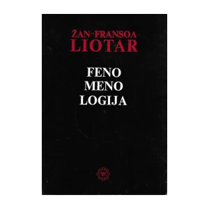 Liotar Žan Fransoa: Fenomenologija