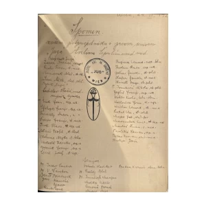 Maraković Ljubomir: Naše kolo