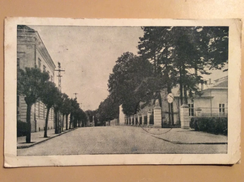 VUKOVAR STARA RAZGLEDNICA ULICA I DRVORED 1948. R0304