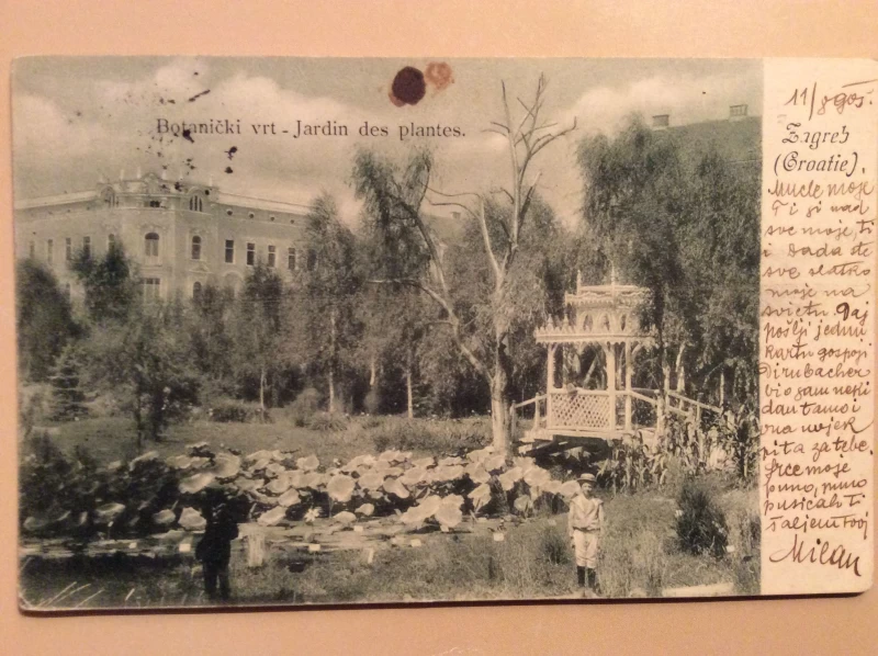 ZAGREB STARA RAZGLEDNICA BOTANIČKI VRT 1905.   R0354