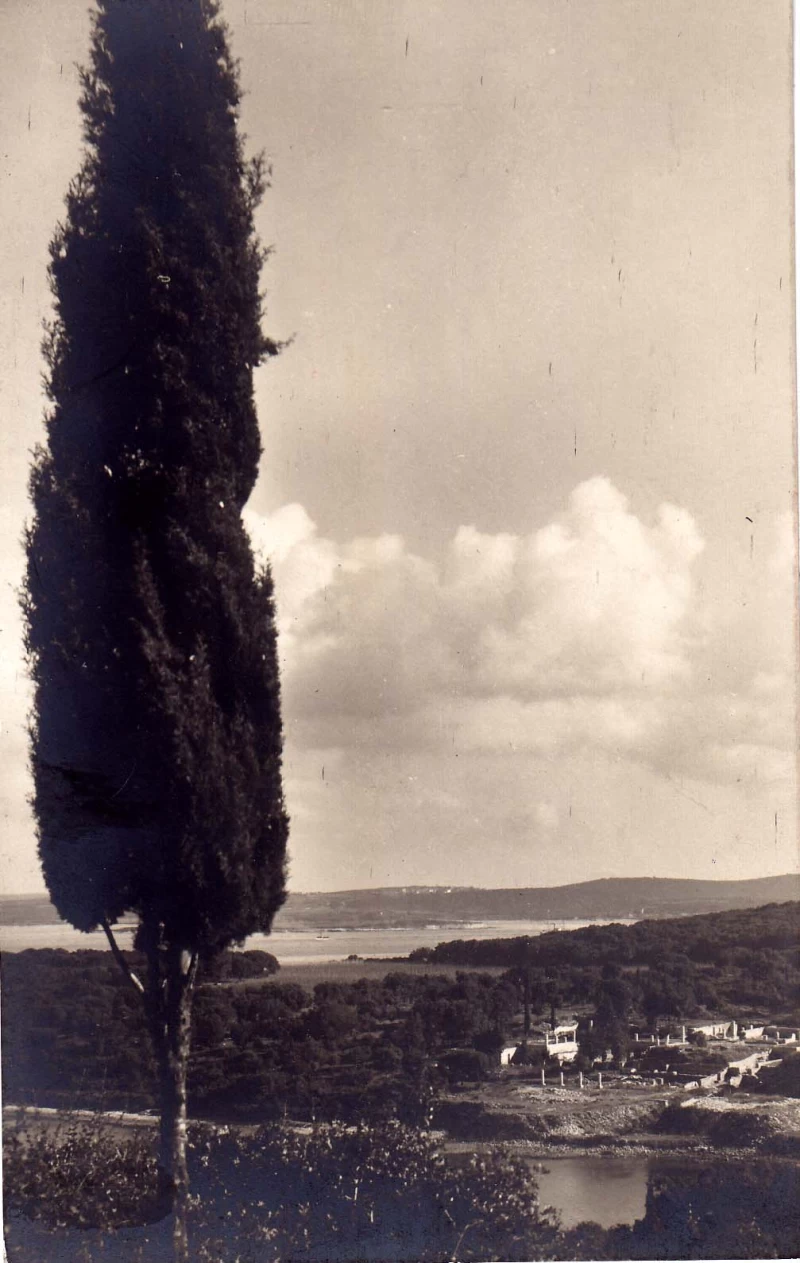 POLA PULA ISTRA HRVATSKA OTOK BRIONI FOTO INSEL BRIONI  STARA RAZGLEDNICA 