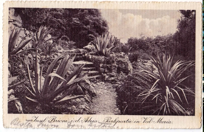 POLA PULA ISTRA HRVATSKA OTOK BRIONI  VAL MARIA  STARA RAZGLEDNICA 1918