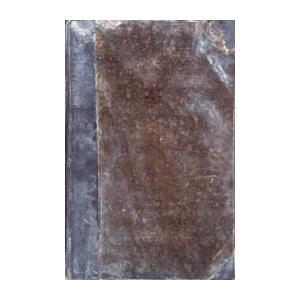 Petar Bačić: Historička pripoviest iz narodnog života u Dalmaciji u drugoj polovici šesnaestog vieka