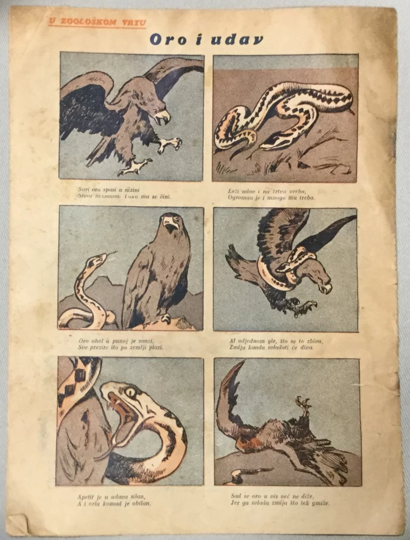 Koprive humorističko-satirički list 6/1937.