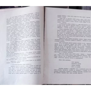 Stjepan Planić: Problemi savremene arhitekture