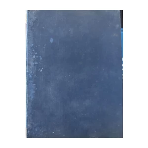 Stjepan Planić: Problemi savremene arhitekture