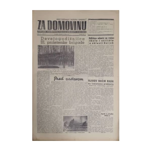 Časopis Za Domovinu: godina IV, broj 22/1951