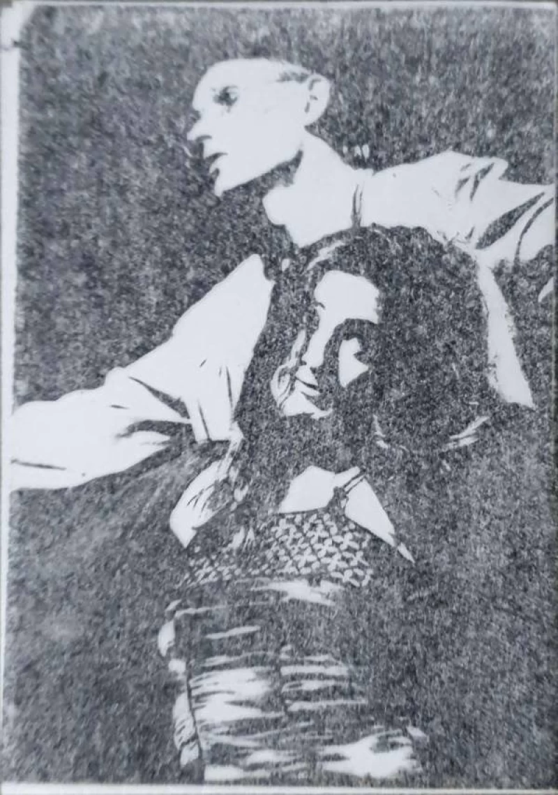 Vladimir Stojsavjević: Njegovatelj Mašte