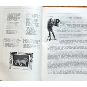 PATY SLET VŠESOKOLSKY PORADANY V PRAZE, ČESKOU OBCI SOKOLSKOU  VE DNECH 28-30.ČERVNA A 1.ČERVENCE 1907.