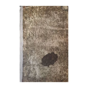 Index Personarum, Locorum,Et Rerum In Corpus Juris Hungarici,A Temporibus S. Stephani, Primi Hungarorum Regis, Usque Ad Annum MDCCCXLIV Novissime Concinnatus