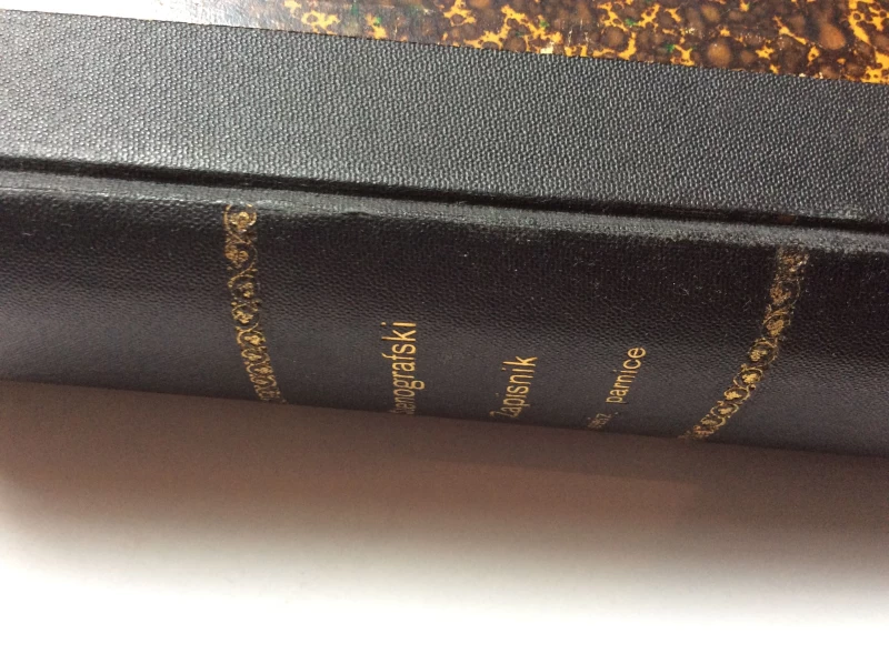 STENOGRAFSKI ZAPISNIK SASTAVLJEN KOD KR. SUDBENOG STOLA U ZAGREBU 1909. - OPTUŽNICA PROTIV ADAMA PRIBIČEVIĆA I 52 DRUGA RADI ZLOĆINSTVA VELEIZDAJE...  