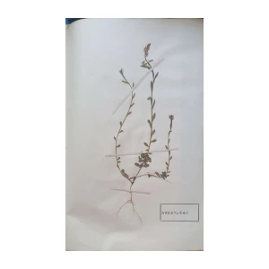 Aleksandar Semnic: Novi herbar