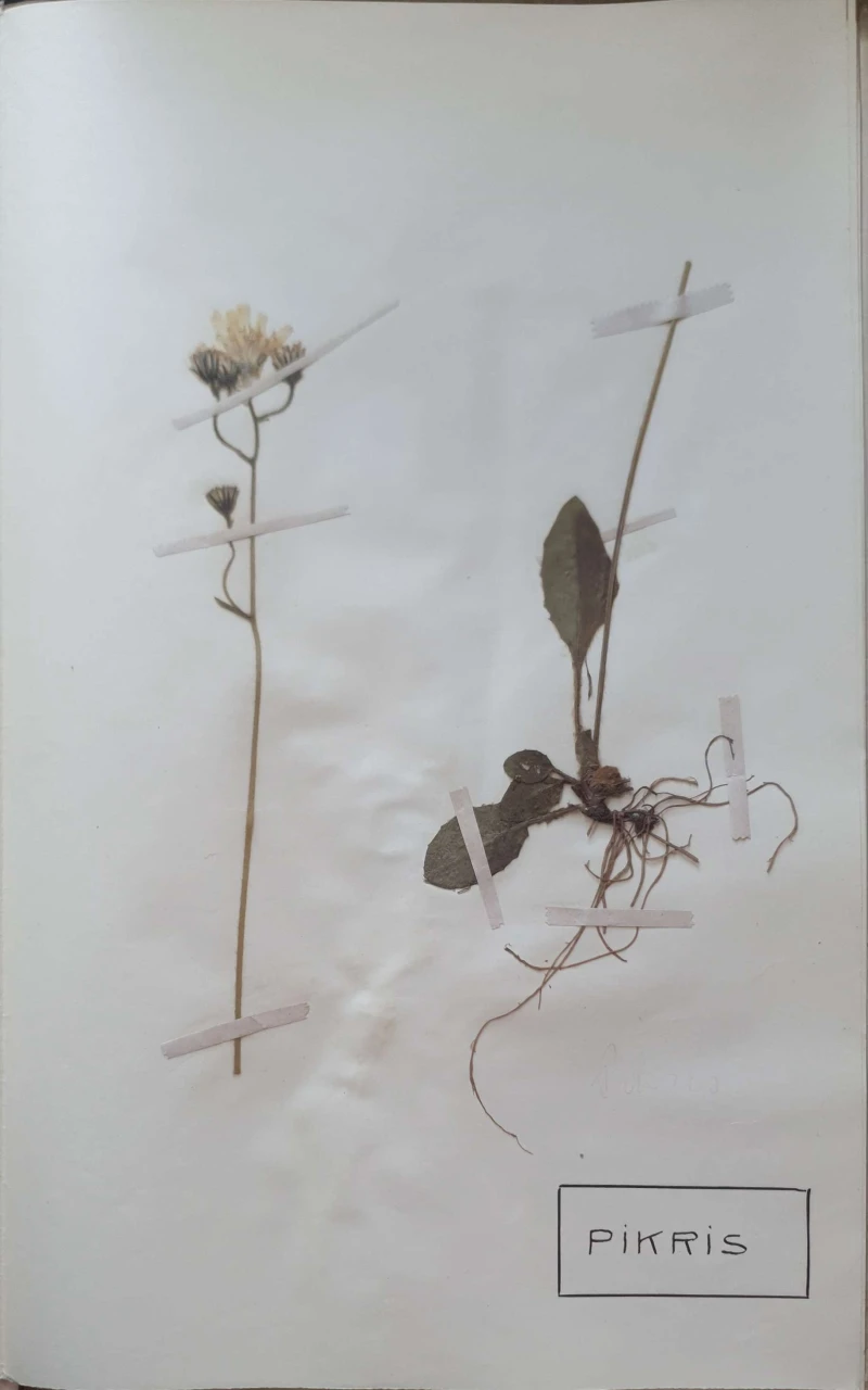 Aleksandar Semnic: Novi herbar