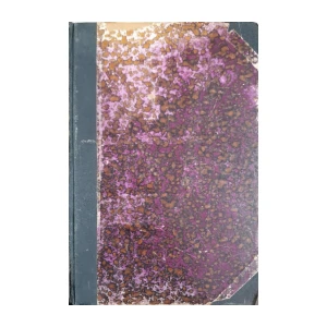 Vladimir Mažuranić: Prinosi za hrvatski pravno-povjestni rječnik