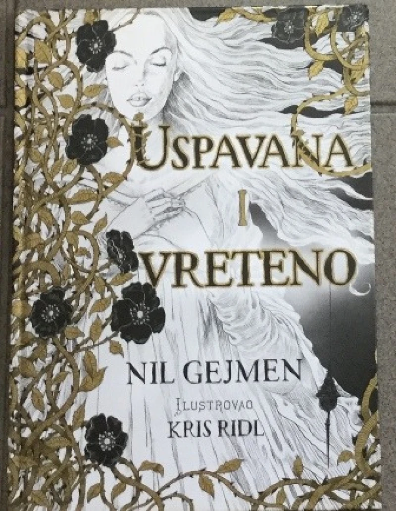 Nil Gejman : Uspavana i vreteno