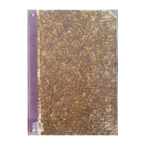 Službeni glasnik Kr. Hrv. - Slav. - Dalm. zemaljske vlade odjela za bogoštovlje i nastavu Godina 1887