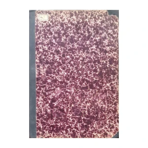 Omladina: god. IV/1921