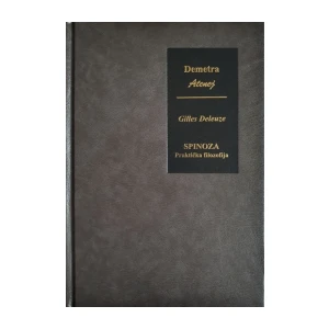Spinoza Praktička filozofija, Deleuze