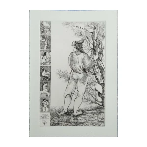 Dnevnici snoveđenja