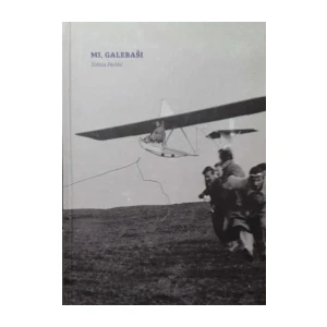 Zoltan Perišić: Mi, Galebaši