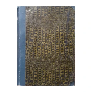 Dante Aligieri: Divna gluma