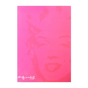 Andy Warhol : I never read I just look at pictures