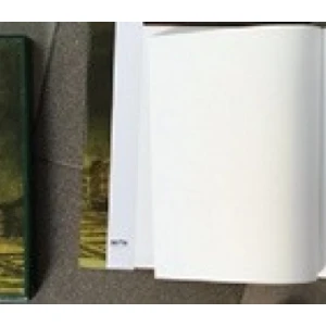 Goran Tribuson : Mateš