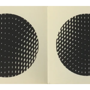 Ivan Picelj: Anti gravi graphitron: S posvetom Ivana Picelja