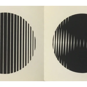 Ivan Picelj: Anti gravi graphitron: S posvetom Ivana Picelja