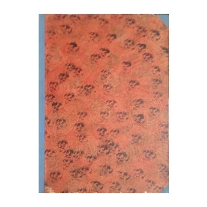 Jadranska straža: Godina XV/1937