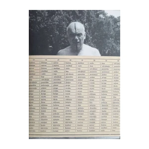 Tomislav Gotovac - Anticipator kriza