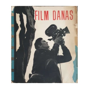 Stevo Ostojić, Mira Boglić: Film danas