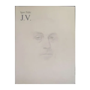 Igor Zidić: J. V. - ogledi o Vaništi
