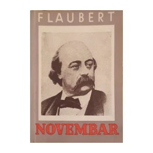 Gustave Flaubert: Novembar